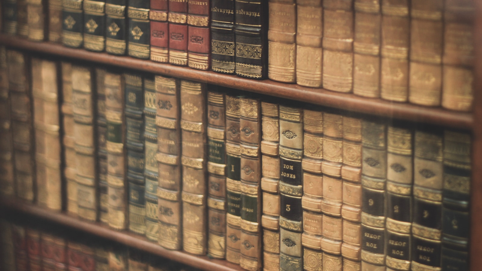 Bibliotekarka z Paryża – Strażniczka tajemnic literatury i miłości do książek